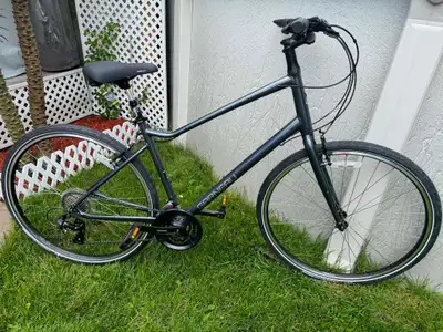 Vélo de ville Louis Garneau, View more