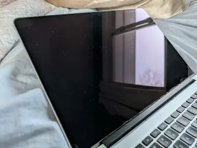 Screen from a 2012 15" MacBook Pro Retina. The screen has defects, but works. It was replaced by App...
