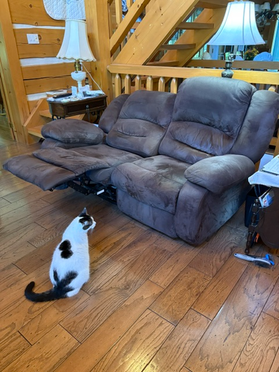 Love Seats (Qty 2) - Reclining - Chocolate Brown - Suede-like, View more