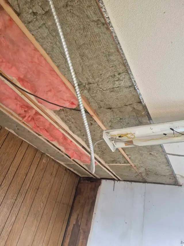 Professional Carpenter 414906536879073282