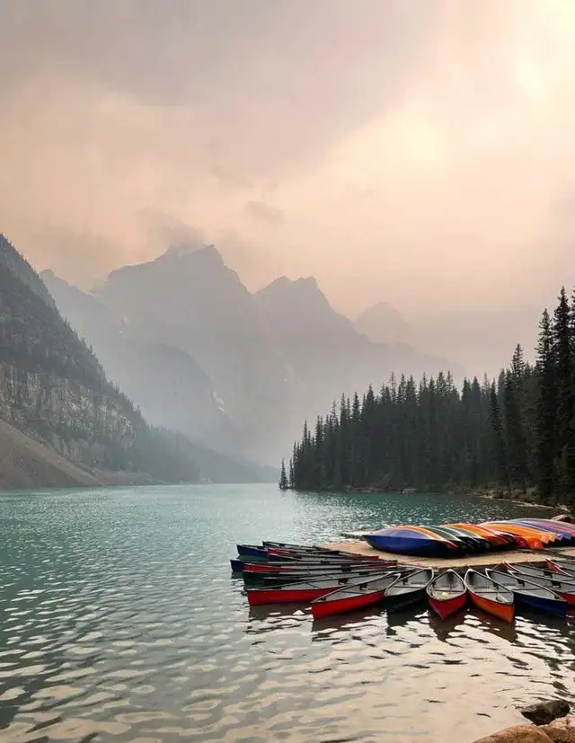 caucasian F64656293721346120