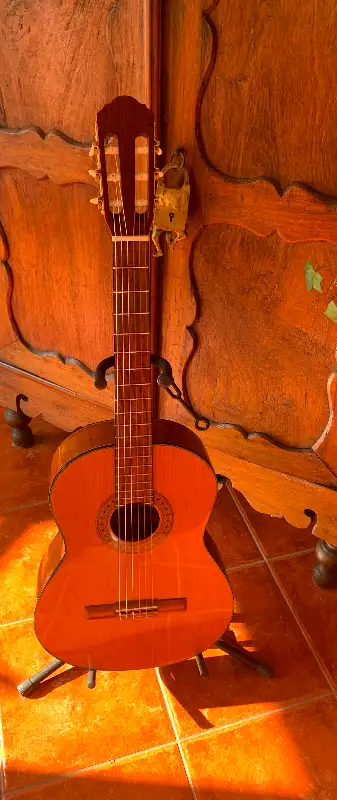 Samick full size classical guitar model SC320 is in mint condition. New strings installed July 26. G...
