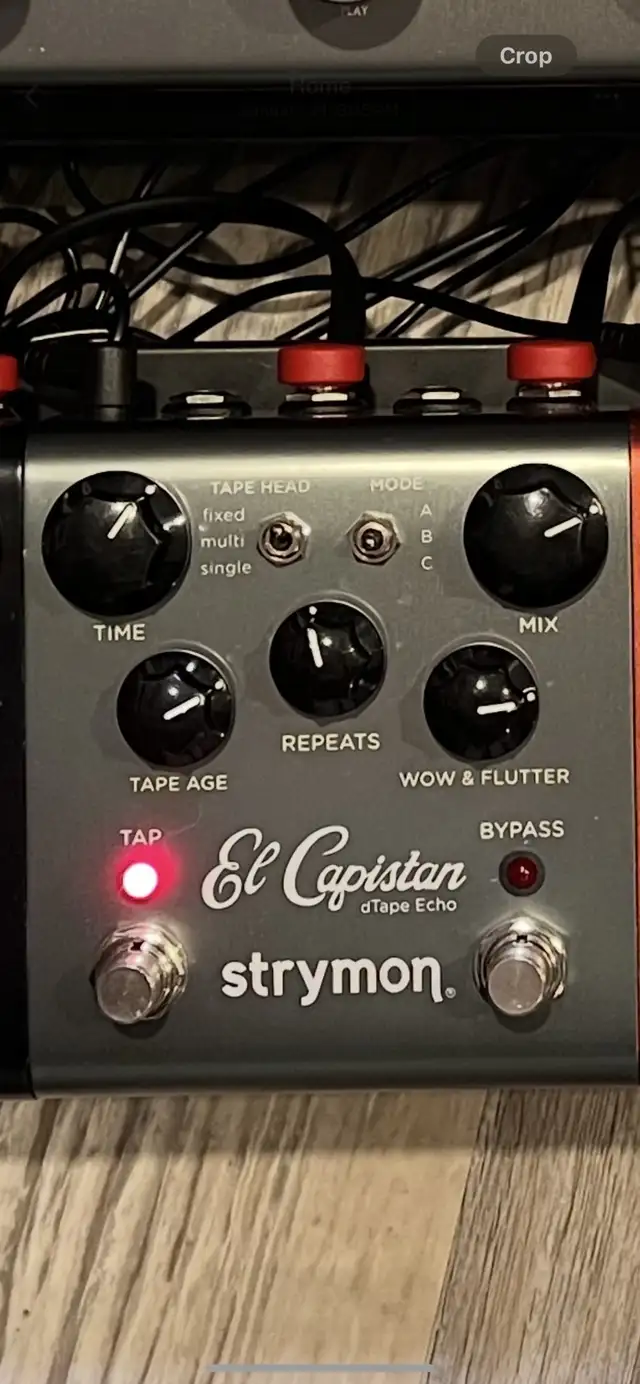 Strymon El Capistan V1 in Amps & Pedals in Dartmouth - Image 2