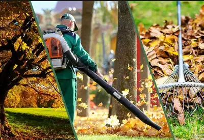 Desi Fall / Leaf Clean Up Service (Calgary), View more