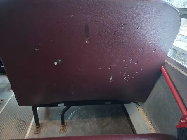 2013 Bluebird BBCV 47 Passenger Bus in Other in Red Deer - Image 11