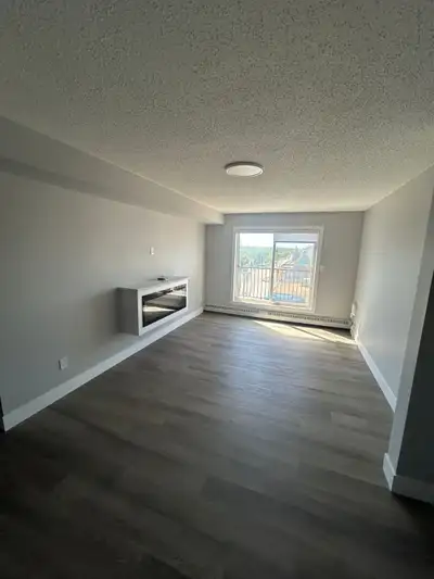 Affordable Apartments for Rent