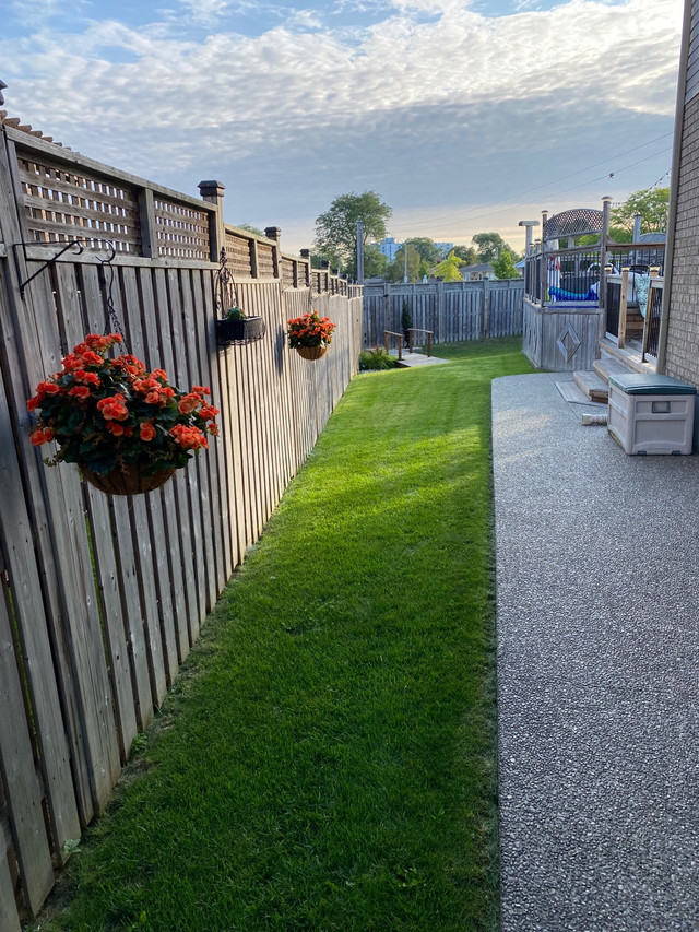 Grass Cutting  in Other in Hamilton - Image 2