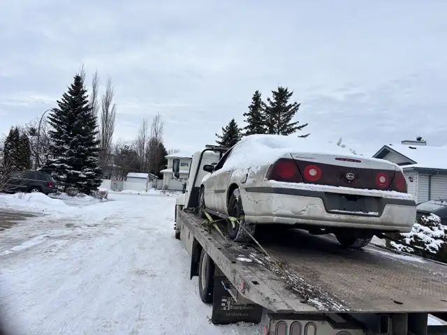 Used cars for cash in Cars & Trucks in St. Albert - Image 11