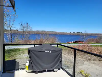 5 minute drive to downtown River front, on the walking trails Stainless appliances Cat or quiet dog...