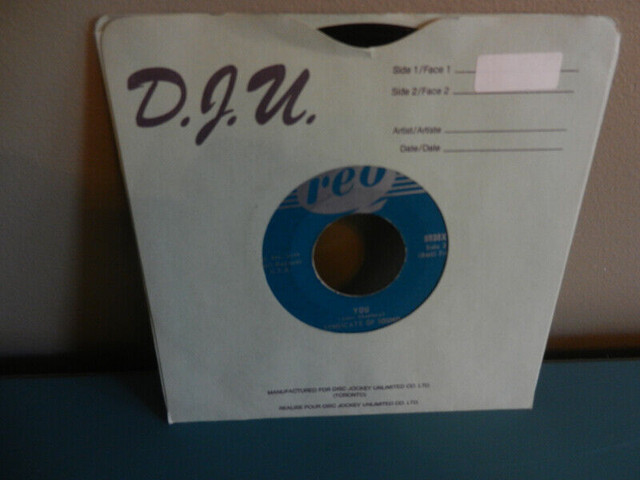 Vinyl Record 45 RPM Syndicate of Sound Garage Rock 1966 REO in CDs, DVDs & Blu-ray in Oshawa / Durham Region - Image 2