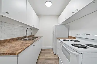 Renovated 1 Bedroom Downtown Hamilton
