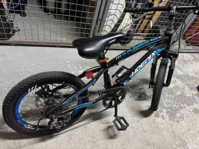This is a Phoenix 20-inch mountain bike, perfect for young riders ready to hit the trails or cruise...