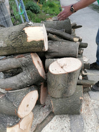 Free firewood very nicely cut hardwood maple sugar. See picture