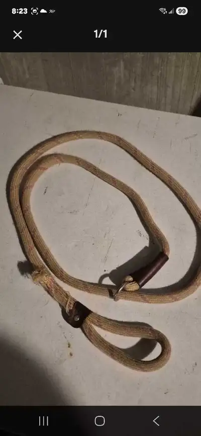 Training leash, View more