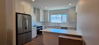 brand new house for rent