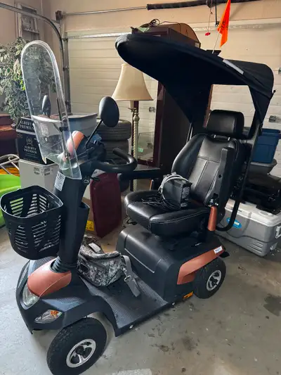 Selling a high-end, heavy-duty Pegasus Pro 4-wheel mobility scooter. This is a premium, powerful out...
