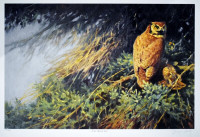 Art4u2enjoy “Great Horned Owl” by Dwayne Harty