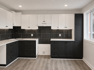 Custom Black & White Kitchen Cabinets | Kitchen Renovation, View more