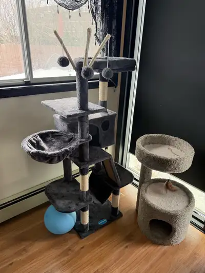 2 cat condos , View more
