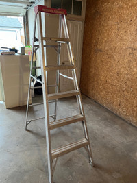 6 foot step ladder