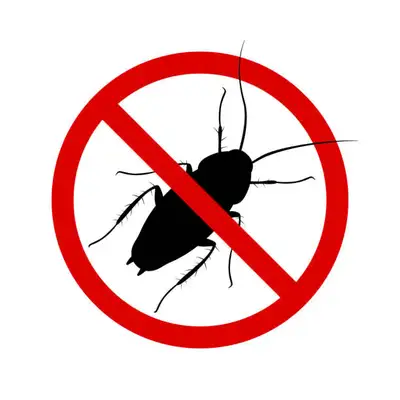 Pest Control Services | Roaches | Mice | Rats, View more