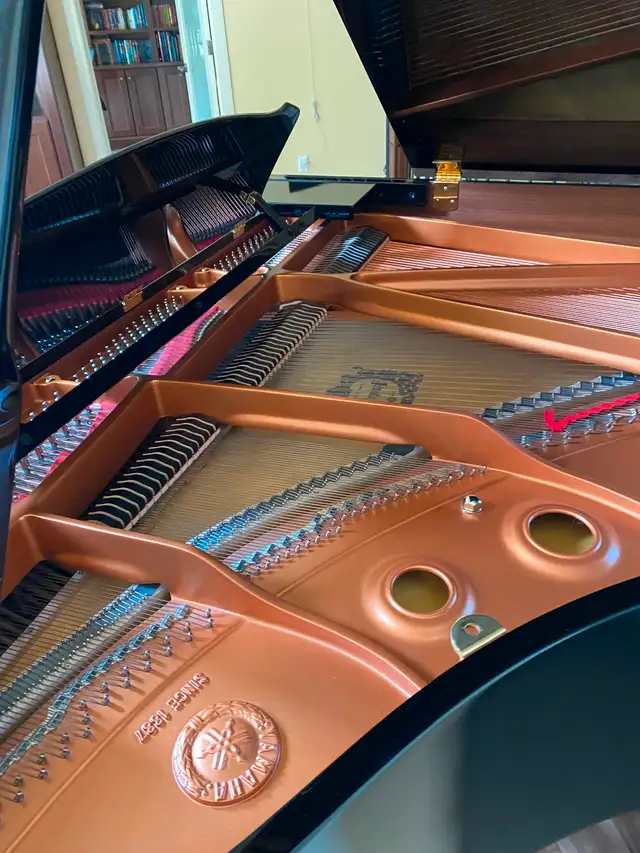 Yamaha C1 Grand Piano (2010)63006660878211121