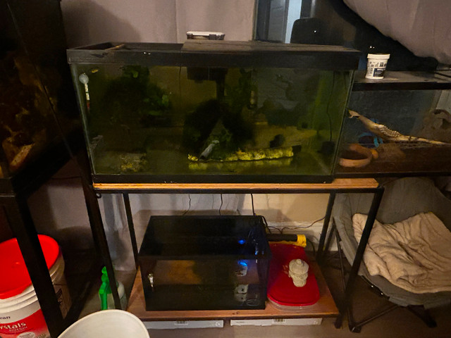 25 gallon aquarium with stand and 20 gallon bottom tank in Accessories in North Bay