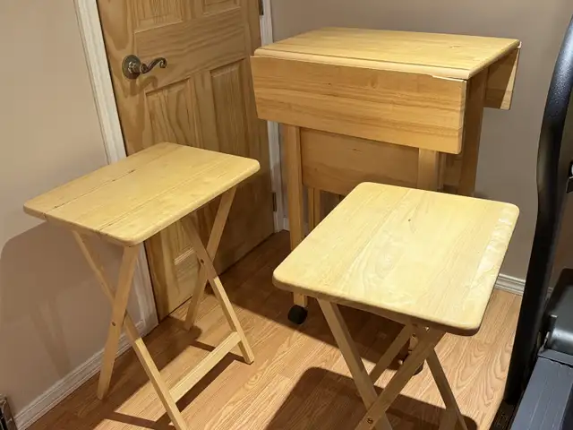 TV trays (4) + foldable serving stand. rare. unique. $9964520005450113120