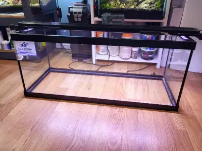 Aquarium 20 G, View more