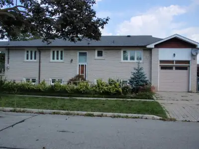 Spacious 1 bedroom basement apartment, all inclusive, shared laundry, private one car drive, separat...