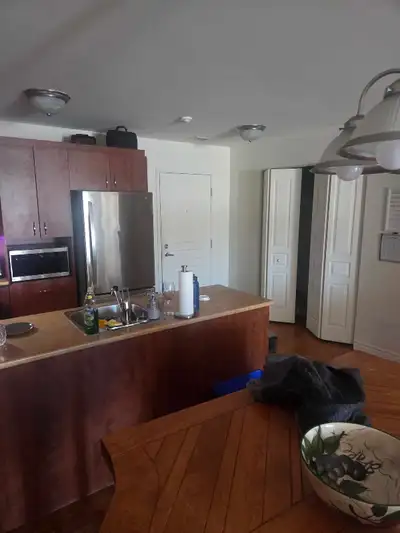 Beau 4 1/2 disponible fin Avril ou avant. -Non chauffé/éclairé. -Droit 1 chat opéré. -Enquête de cré...