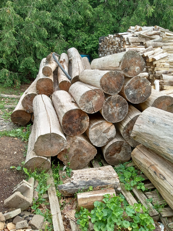 Clean Poplar Logs (firewood) in Other in Hamilton - Image 3