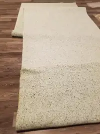 Carpet and underpad