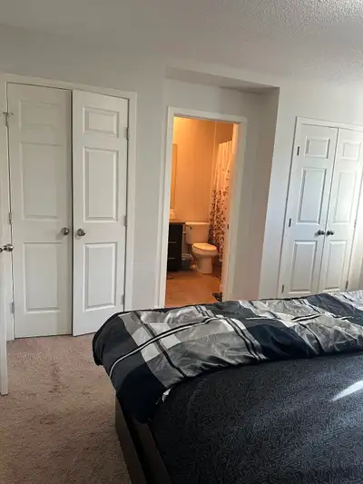 Master bedroom comes with king size bed closet and personal bathroom. Laundry , utilities and wi fi...