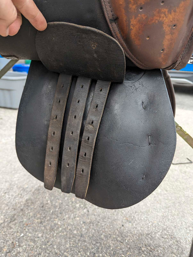 Used 16.5" Courbette saddle in Equestrian & Livestock Accessories in Mississauga / Peel Region - Image 4