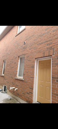 1 Bdrm Basement for Rent near Mt Pleasant Go Station from June 1