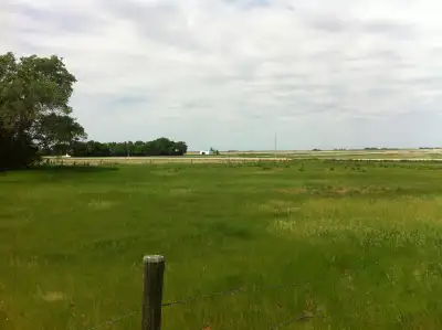 10 acres. Grass , trees , fenced , sewage system , artesian water well , Sask power Electricity on s...