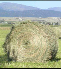 ISO hay bales