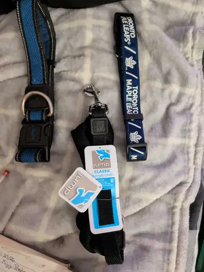 2 Nylon Dog Collars & 6' Bungee Leash, View more