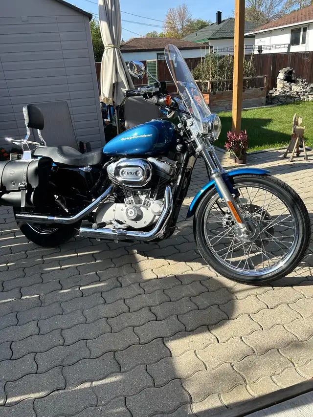 2005 Harley Davidson Sportster in Street, Cruisers & Choppers in Winnipeg - Image 4
