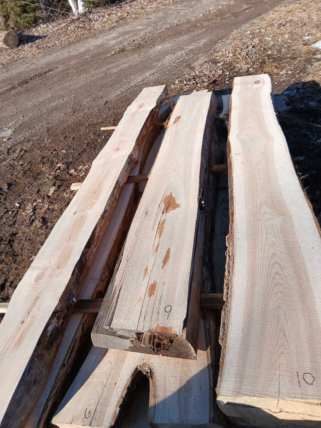 Live edge beams  in Other in Sudbury - Image 4