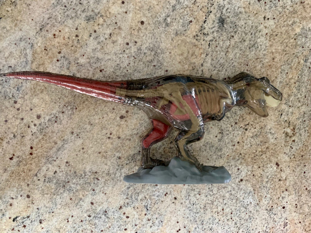 Discovery kids T rex dinosaur in Toys & Games in Saskatoon