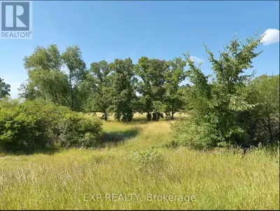 Highway Commercial Land For Sale – 5.1 Acres in Warwick, Ontario Unlock the potential of this prime...