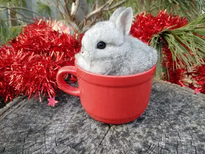 Attention: Please read the ad carefully. If the ad is up, bunnies ARE AVAILABLE. Next delivery to Ot...