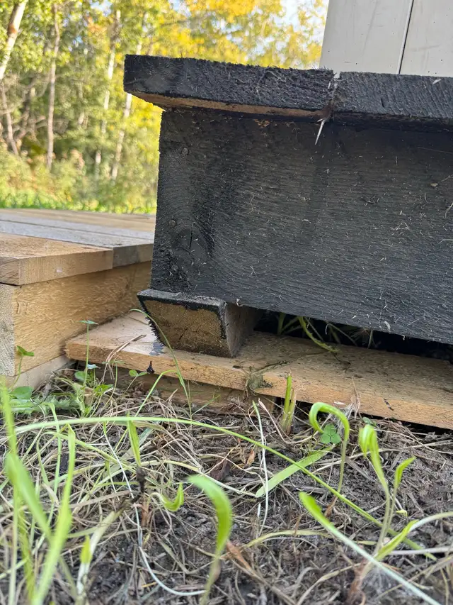 Shed Bases in Other in Edmonton - Image 5