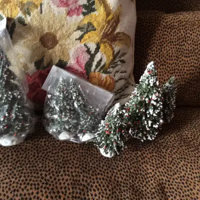 6 little Christmas trees, $3, View more