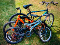 3 bikes $60 for all