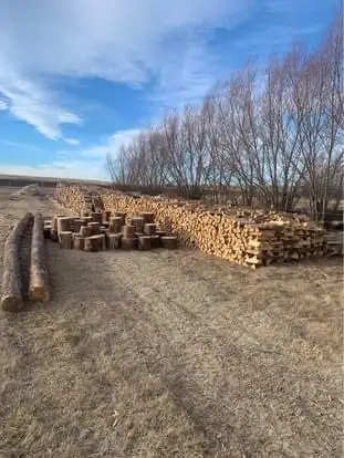 Firewood/ Free Delivery , View more