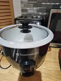 Small Rice Cooker