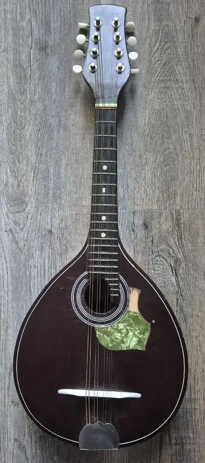 Very old Mandolin. Pickgaurd is missing a small price and needs new strings. Please make a reasonabl...